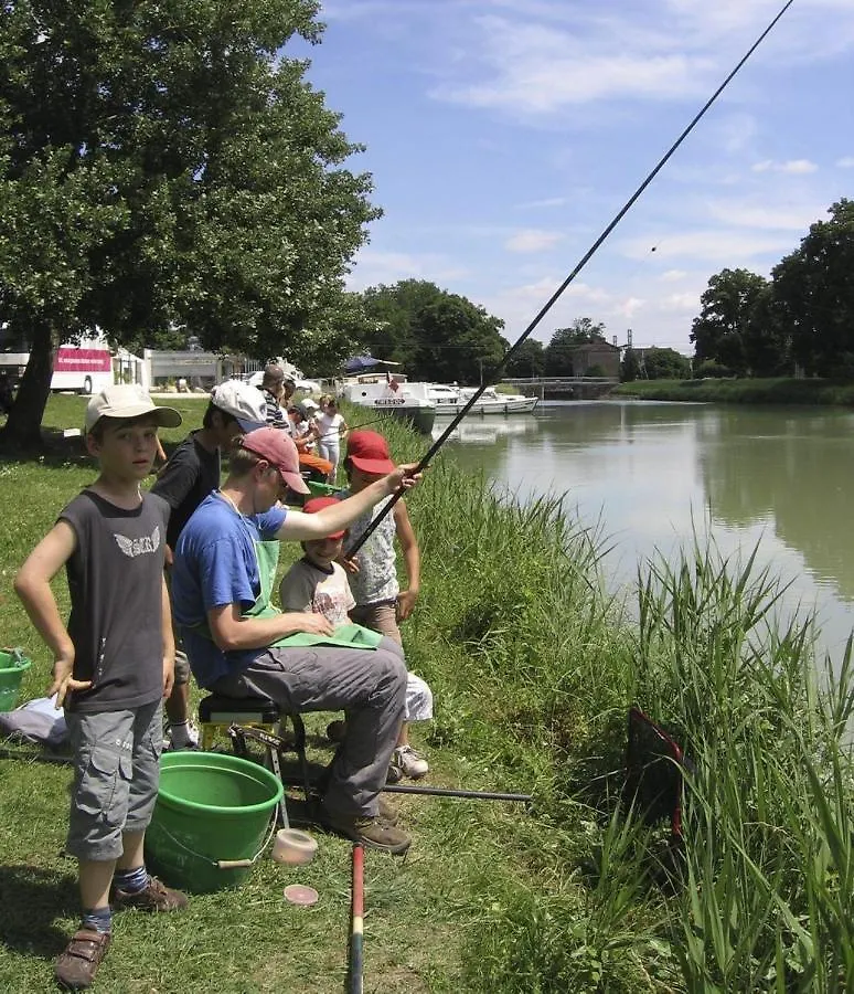 Holiday home Gite Le Salcevert, Proche A62, 7Mn Montauban, 20Mn Toulouse (Adults Only) Labastide-Saint-Pierre France