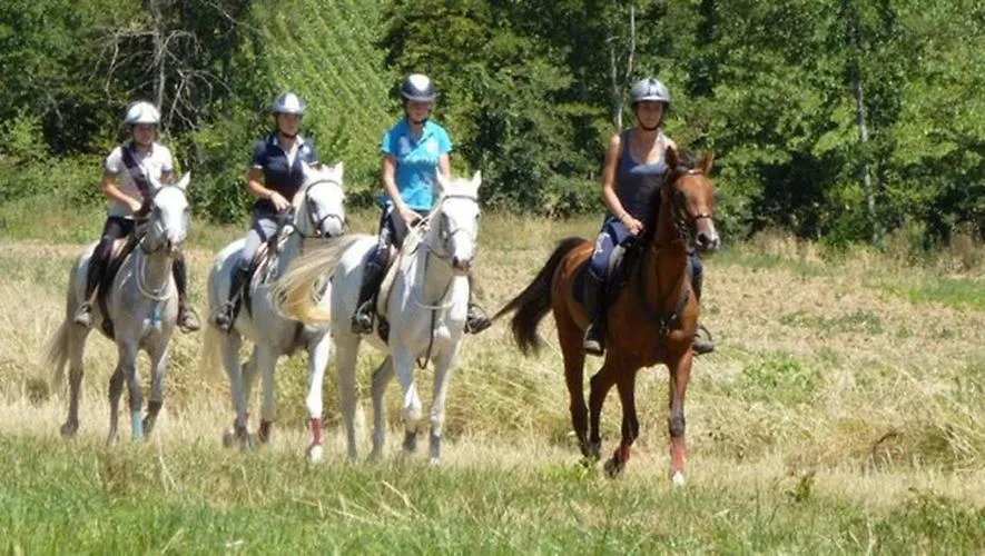 Holiday home Gite Le Salcevert, Proche A62, 7Mn Montauban, 20Mn Toulouse (Adults Only) Labastide-Saint-Pierre France