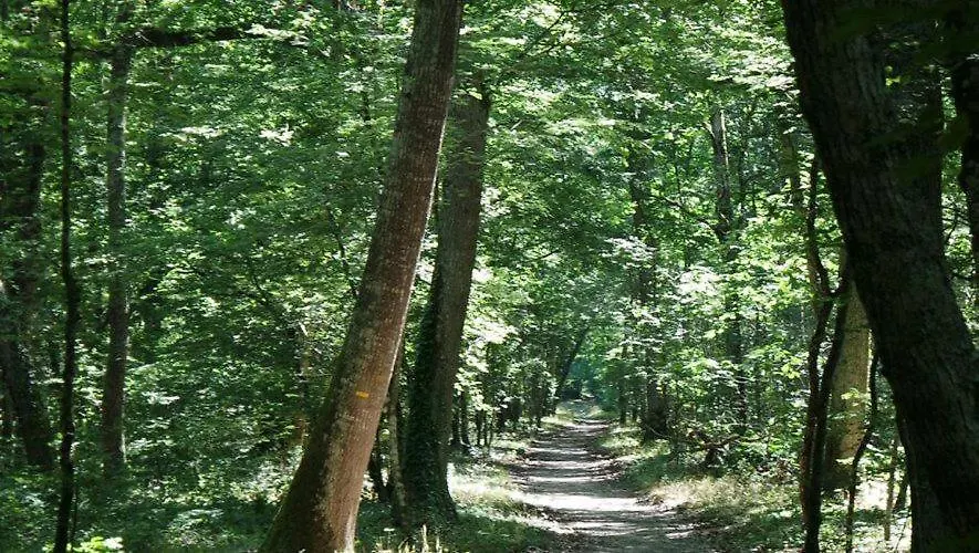 Gite Le Salcevert, Proche A62, 7Mn Montauban, 20Mn Toulouse (Adults Only) Labastide-Saint-Pierre